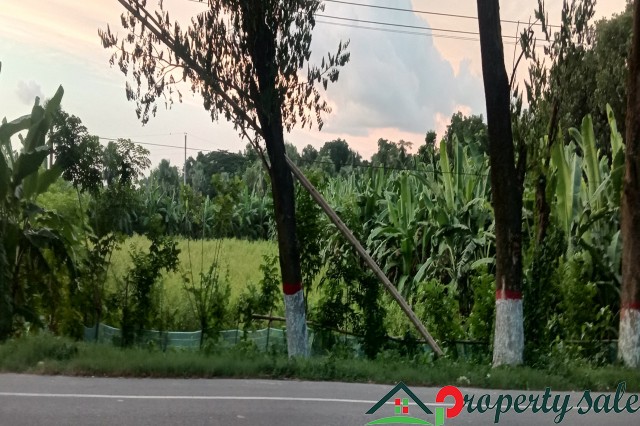 ফ্যাক্ট্ররি বা হাইওয়ে রেস্তরা  জন্য গোপালগঞ্জ এ ঢাকা খুলনা মহাসড়ক সংলগ্ন এক সাথে ১০৮  শতাংশ জমি বিক্রয়