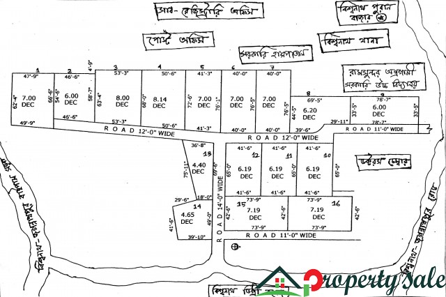 Musa land properties