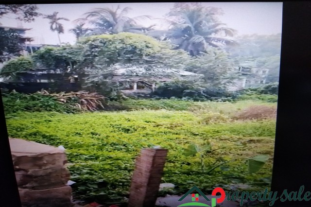 Urgent Plot Sale(5 Shotok) in Sakhipur Upazila, Tangail